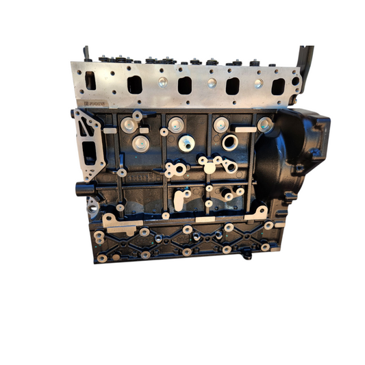 Overhead view of engine block – DM03 Long Block