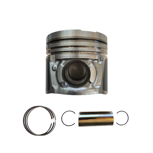 D24 Piston A and Ring Kit