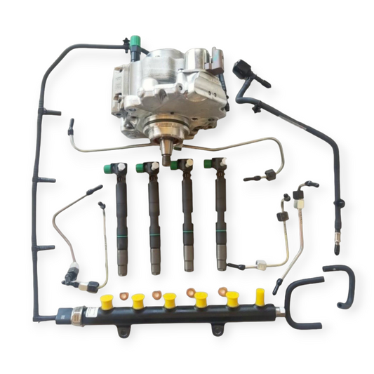 delphi d34 fuel system kit for bobcat