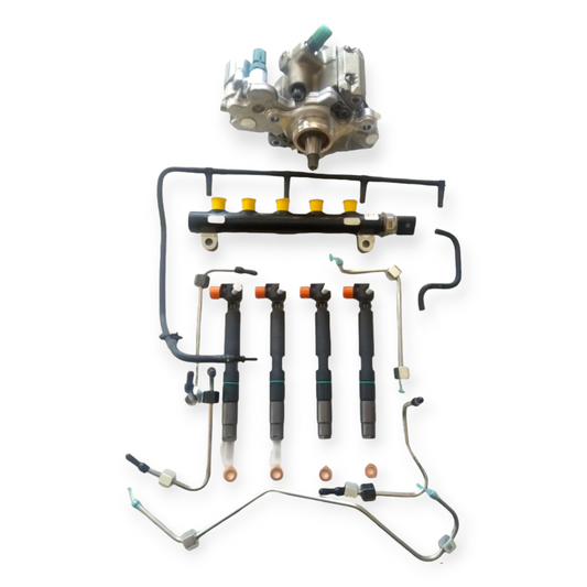 delphi fuel system d24 d18 for bobcat doosan